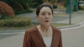 逆时的我们剧照