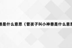 “管孩子叫小神兽”网络梗词解释