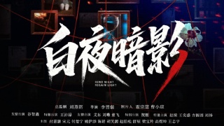 白夜暗影劇照