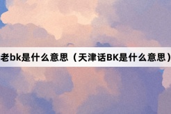 “老bk”网络梗词解释