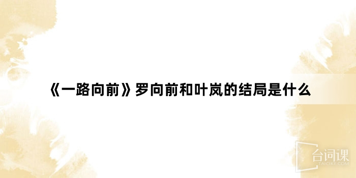 《一路向前》羅向前和葉嵐的結局是什麼