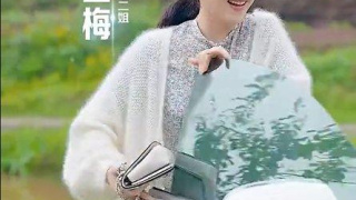 女婿回鄉劇照