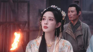 桃花映江山剧照