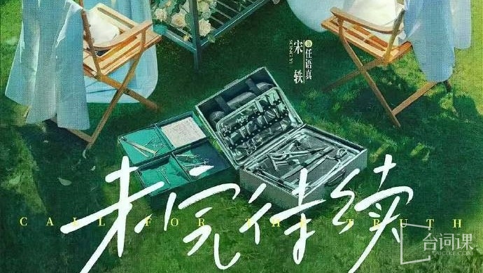 真相证言/未完待续