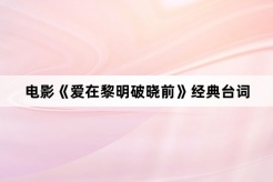 电影《爱在黎明破晓前》经典台词