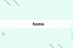 “homo”网络梗词解释