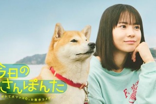 今日份的散步