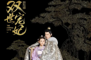 雙世寵妃