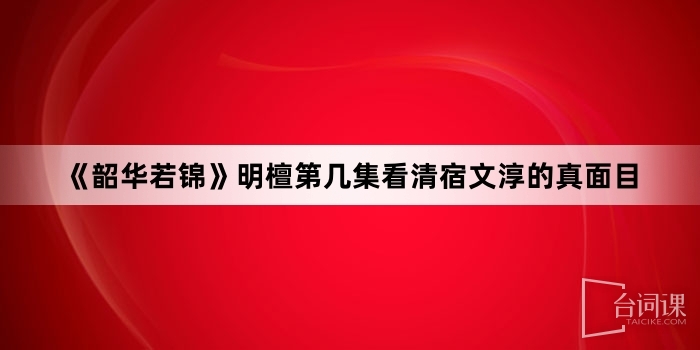 《韶华若锦》明檀第几集看清宿文淳的真面目