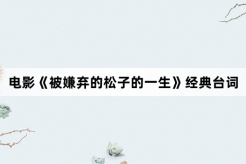 电影《被嫌弃的松子的一生》经典台词