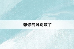 “想你的风别吹了”网络梗词解释