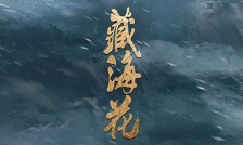 电视剧藏海花