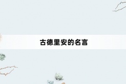 古德里安的名言