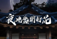 夜晚开的花