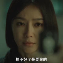Qin Lan