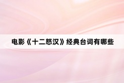 电影《十二怒汉》经典台词有哪些