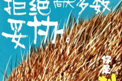《Hedgehog》release time