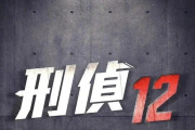 刑侦12