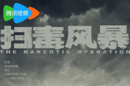 扫毒风暴