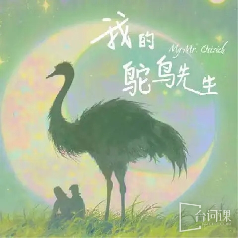 《我的鸵鸟先生》已于今日开机