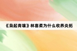 《枭起青壤》林喜柔为什么收养炎拓