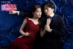 完美妻子的完美複仇計劃