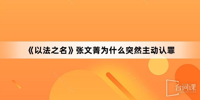 《以法之名》張文菁為什麼突然主動認罪