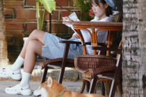 房琪
