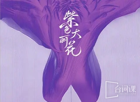 紫色大丽花
