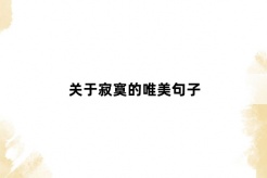关于寂寞的唯美句子