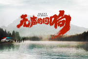 无声的回响