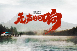无声的回响