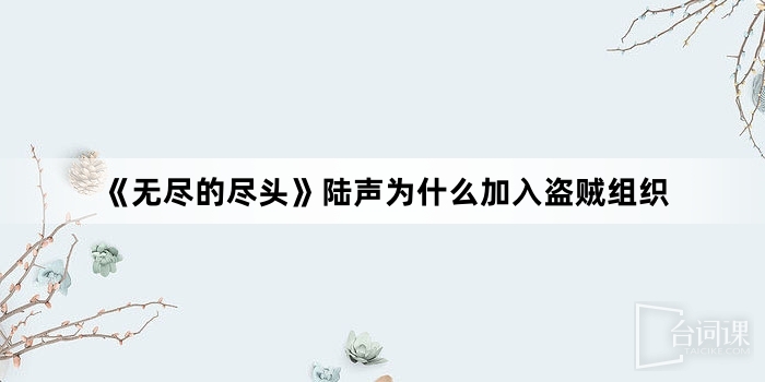 《無盡的盡頭》陸聲為什麼加入盜賊組織