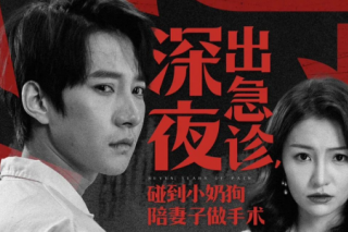 深夜出急診，碰到小奶狗陪妻子做手術