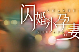 闪婚小孕妻