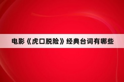 电影《虎口脱险》经典台词