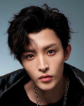 Wang Zuyi