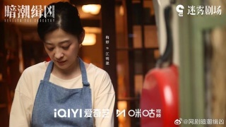 暗潮缉凶剧照