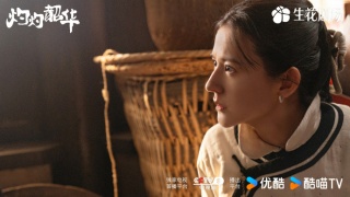 灼灼韶华剧照