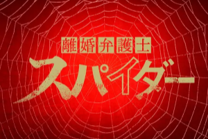 离婚律师Spider