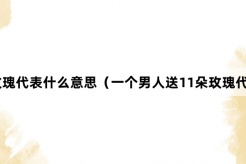 “11朵玫瑰”网络梗词解释
