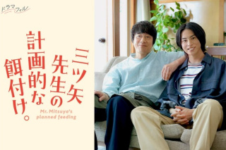 三矢老师的计划式投喂