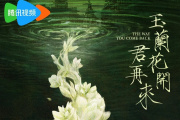 玉兰花开君再来