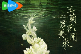 玉兰花开君再来