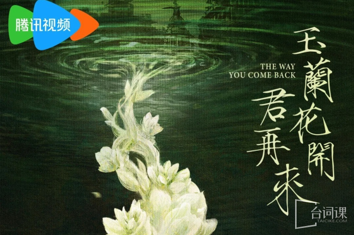 玉兰花开君再来