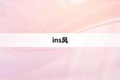 “ins风”网络梗词解释