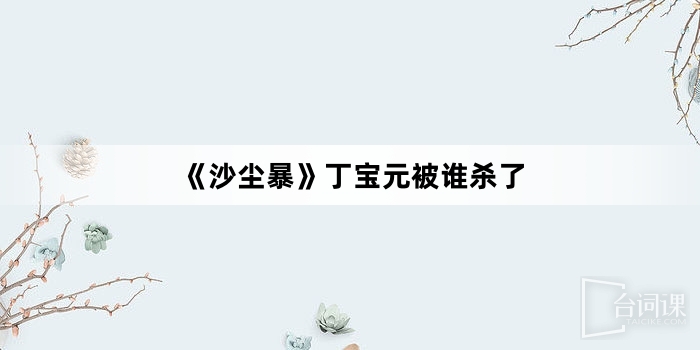 《沙塵暴》丁寶元被誰殺了