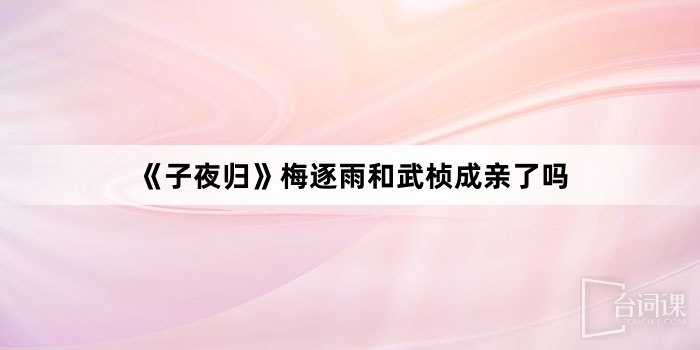 《子夜歸》梅逐雨和武楨成親了嗎