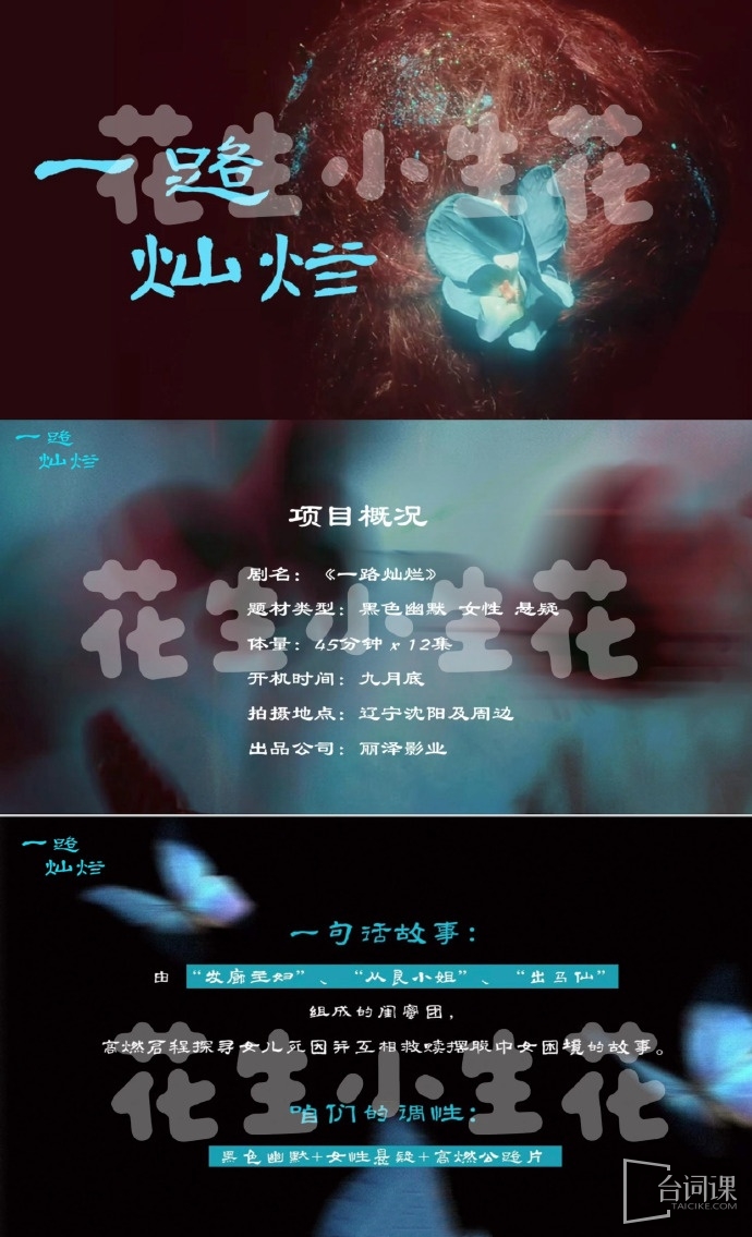 《一路灿烂》25日已经开机