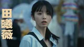 擒贼记/低智商犯罪剧照
